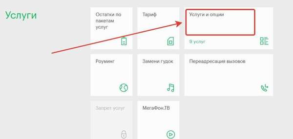 Список и обзор интернет-опций и пакетных тарифов от Мегафон