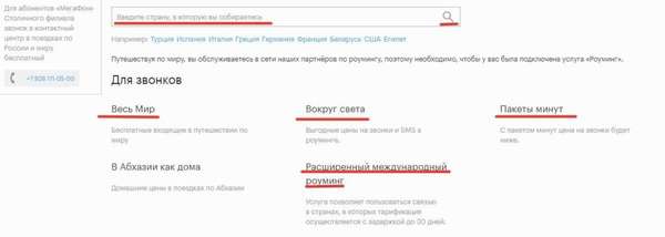 Обзор тарифного плана «Всё включено VIP» от Мегафон