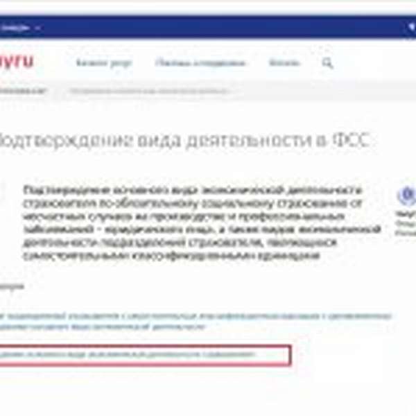 Страница портала Госуслуг с выделенными элементами (электронный адрес, название подраздела)