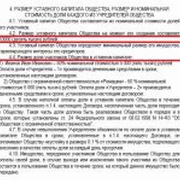 Выдержка из договора об учреждении общества