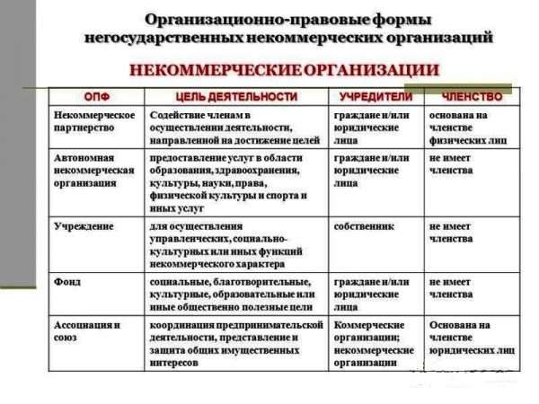 Некоммерческие организации