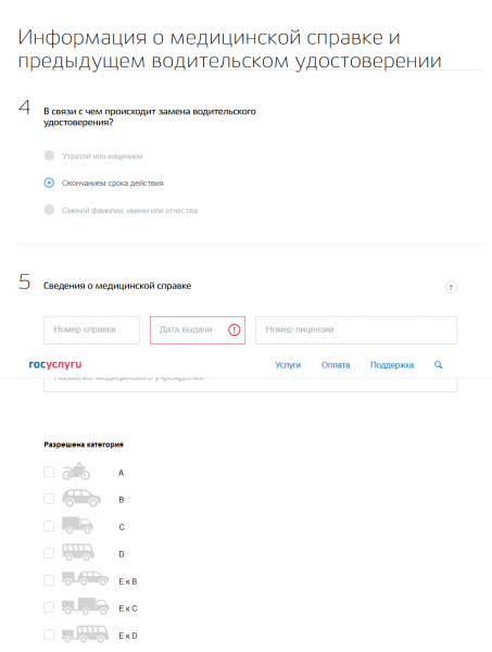 Скриншот сайта госуслуг (анкета)
