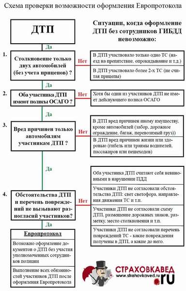 Когда можно заполнить протакол