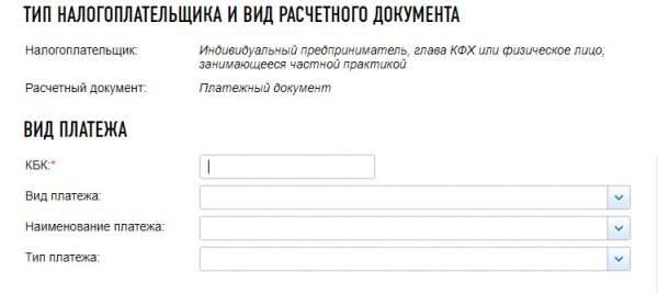 Оплата налогов ИП на сайте ФНС России, скрин 3