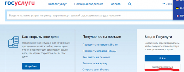 Скриншот сайта «Госуслуги»