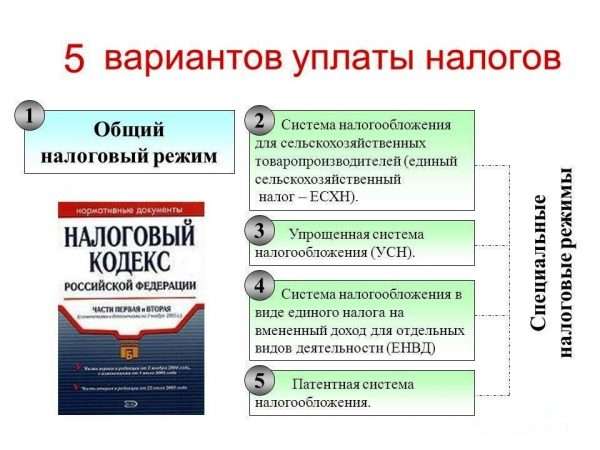 Варианты уплаты налогов