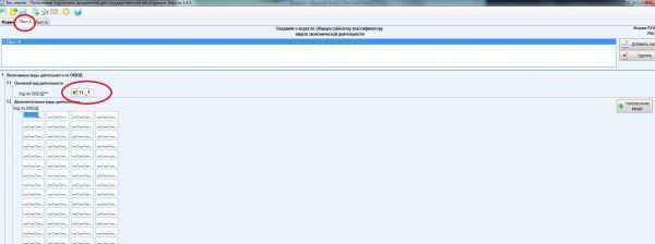 Заполнение кодов видов основной экономической деятельности