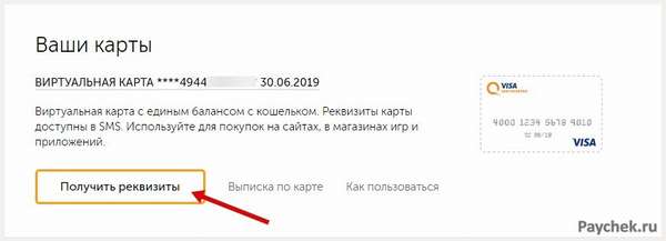 Реквизиты виртуальной карты в Visa QIWI Кошелек