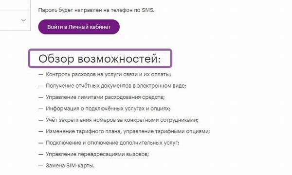 Возможности личного кабинета Мегафон для корпоративных клиентов