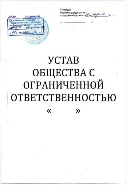 Устав созданного юридического лица