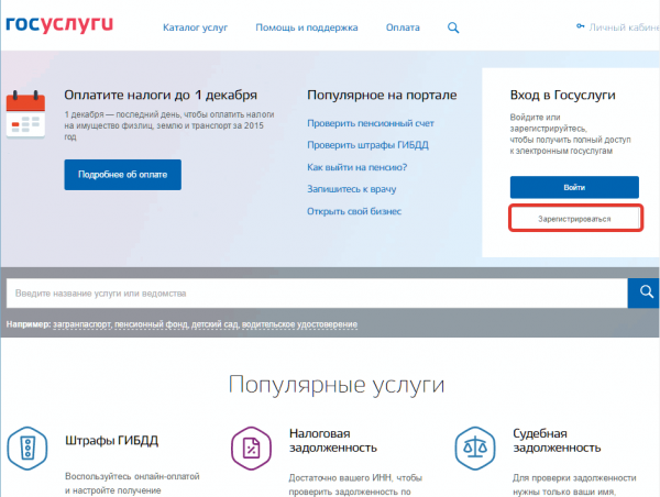 Скрин стартовой страницы портала госуслуг