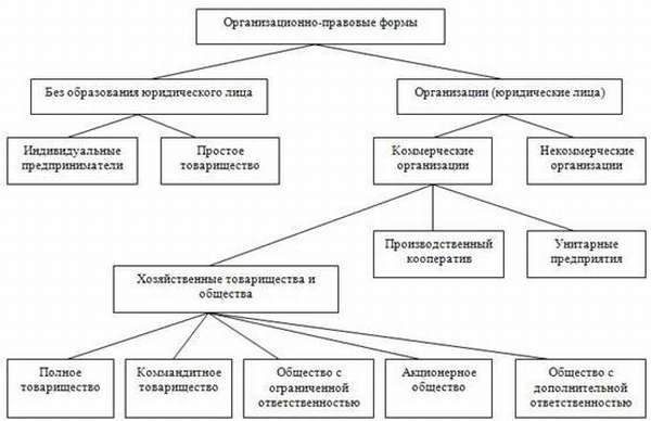 Организационно-правовые формы