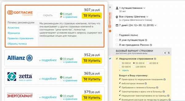 Что входит в медицинскую туристическую страховку: стоимость и как оформить онлайн