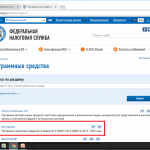 Стр. сайта ФНС «Программные средства»