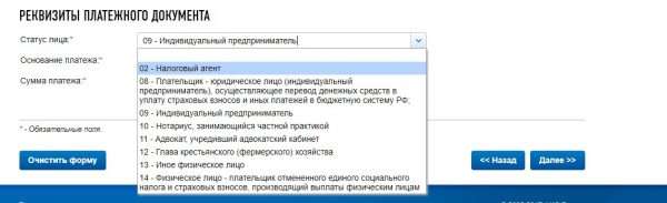 Оплата налогов ИП на сайте ФНС России, скрин 5